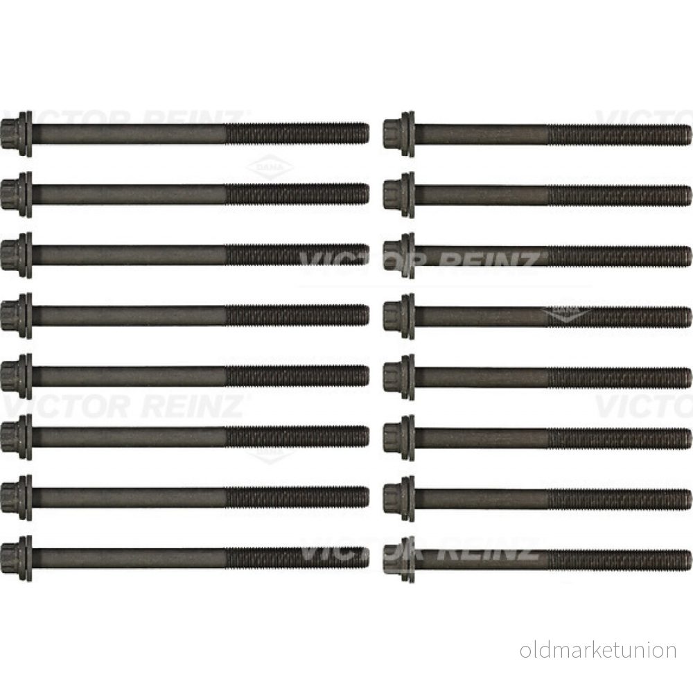 REINZ 14 32288 01 Jeu De Vis Culasse Polygone extérieur RENAULT: ESPACE 4, Vel Satis, OPEL: Vectra C CC, Berline, SAAB: 9 5 Break 4026634446652