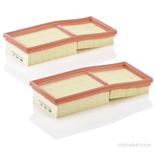 MANN-FILTER Luftfilter C 2861-2 - 2-pack 4011558204006
