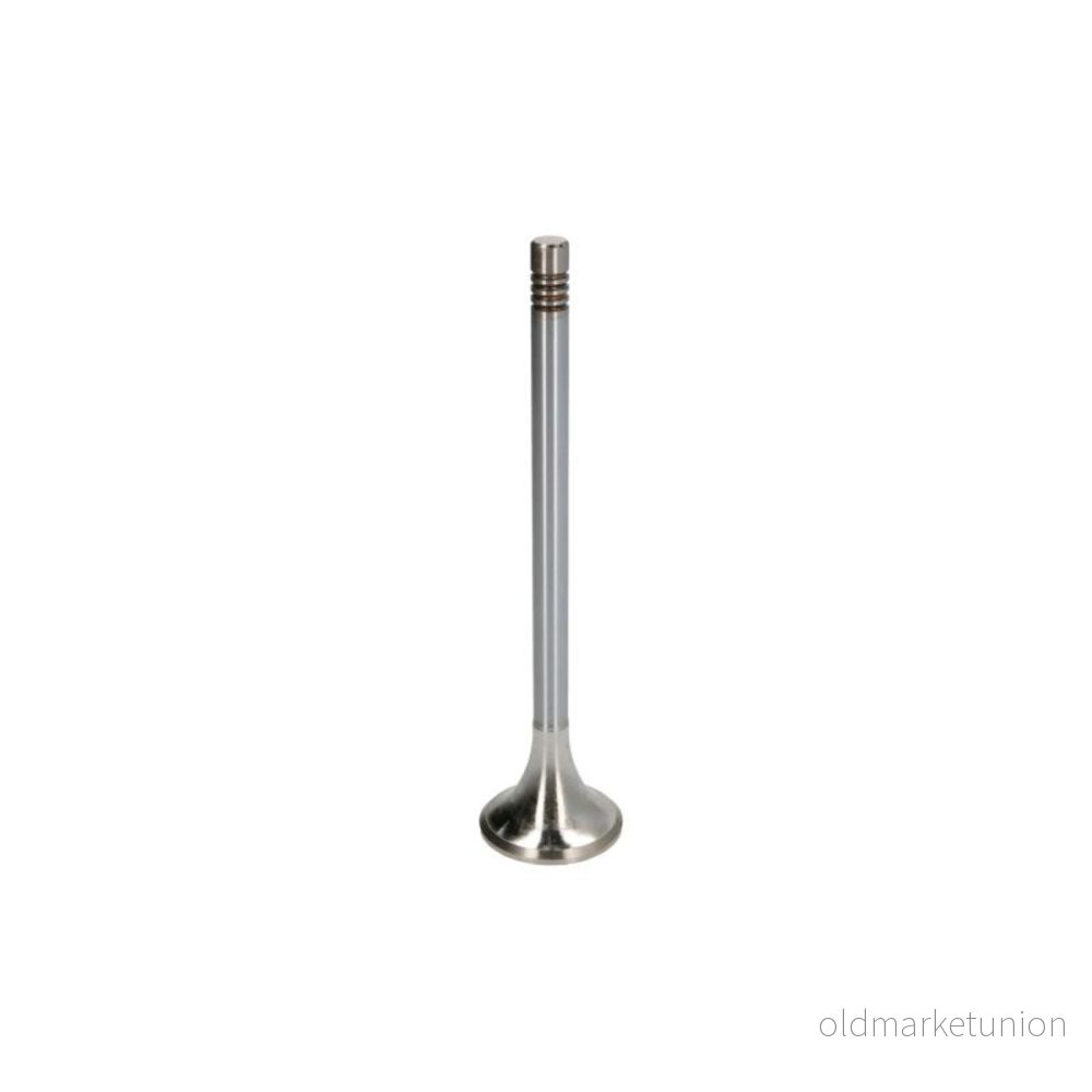 Utloppsventil Ae V95113 4044197750184