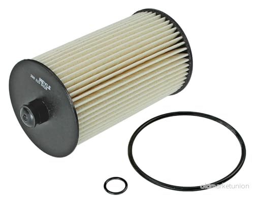 MEYLE 100 323 0028 Filtre à Carburant Cartouche filtrante ORIGINAL Quality avec joint d'étanchéite VOLKSWAGEN: Crafter 30 50 Van, 35 Bus 4040074194010