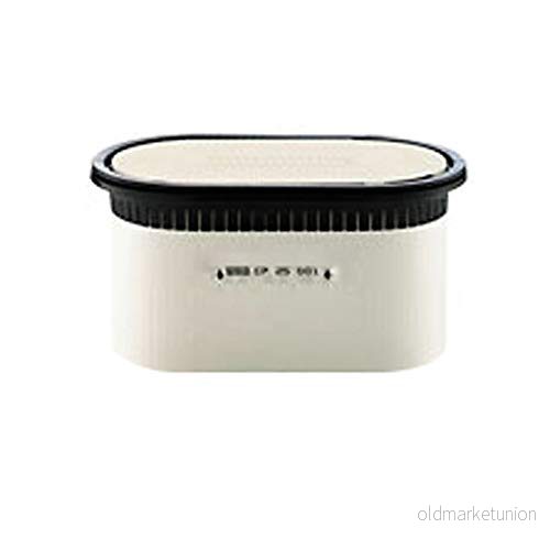 MANN-FILTER CP 29 550 Luftfilter 4011558460105